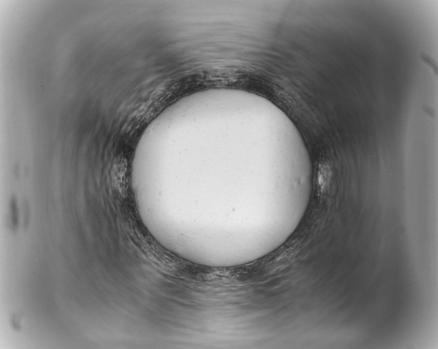 X0000101680867200807311517