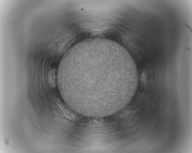 X0000101680868200807311517