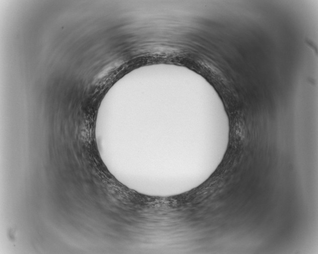 X0000101680869200807311517