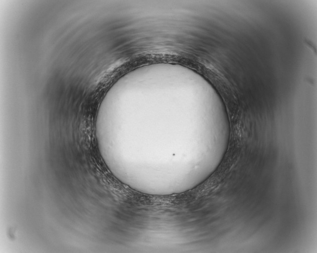 X0000101680870200807311517