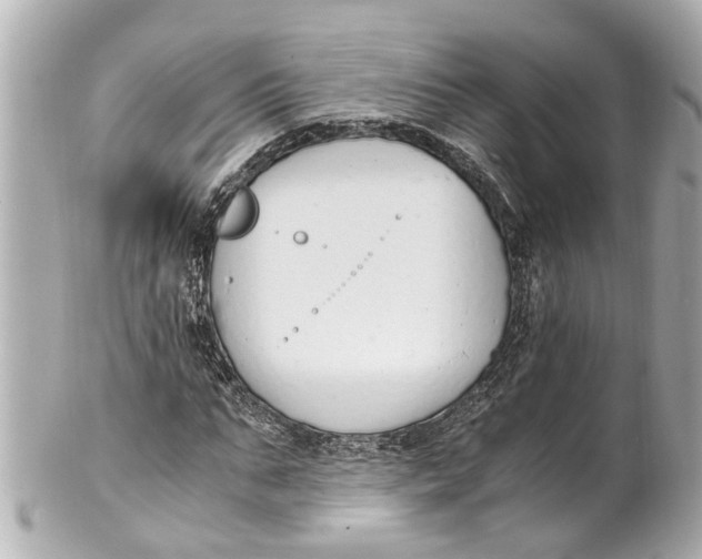 X0000101680871200807311517