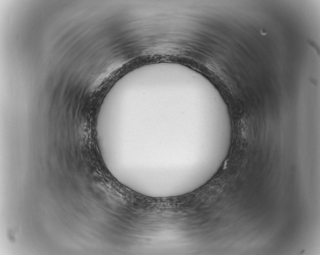 X0000101680872200807311517