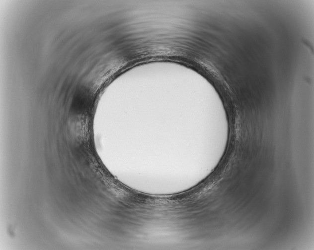 X0000101680873200807311517