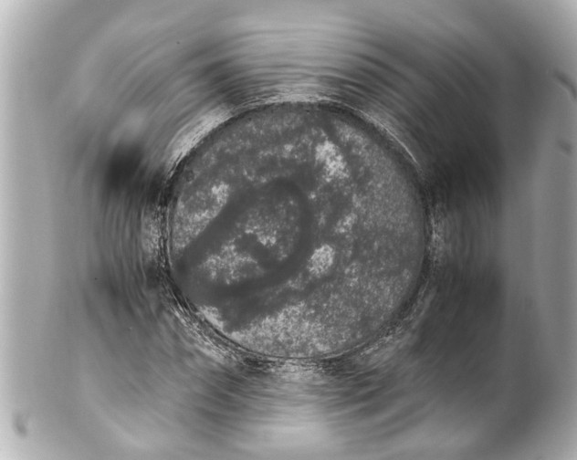 X0000101680874200807311517