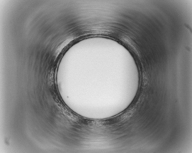 X0000101680875200807311517