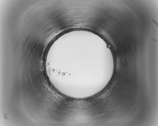 X0000101680876200807311517