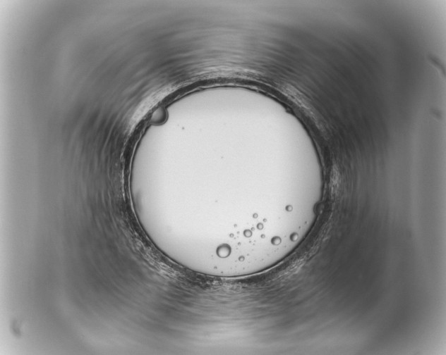 X0000101680877200807311517