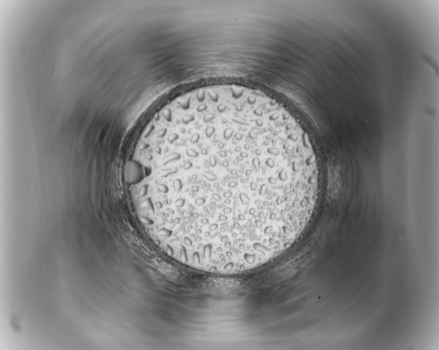 X0000101680878200807311517