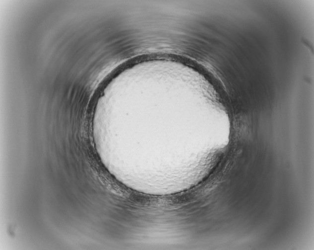 X0000101680879200807311517