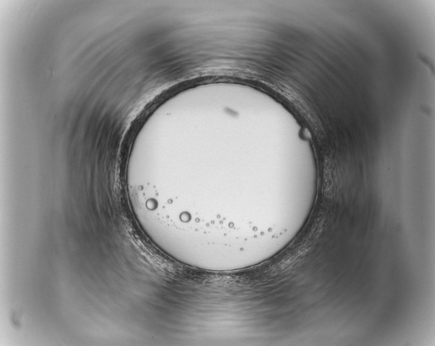 X0000101680880200807311517