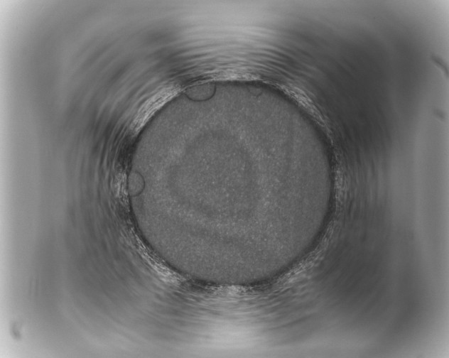 X0000101680881200807311517