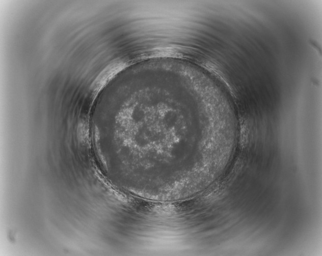 X0000101680882200807311517