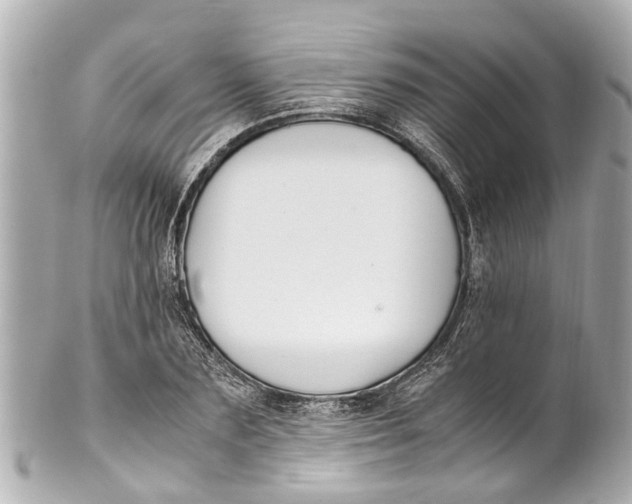 X0000101680883200807311517