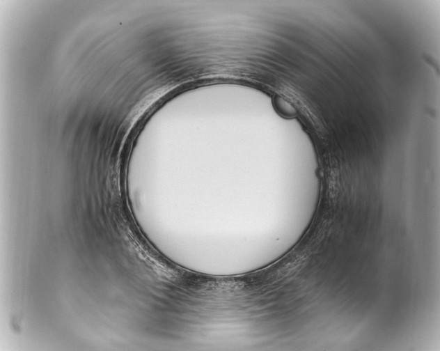 X0000101680884200807311517