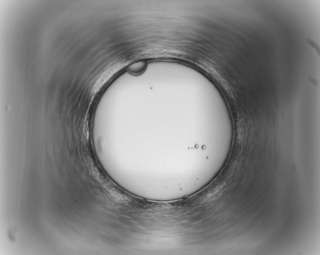 X0000101680885200807311517