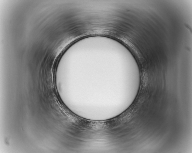 X0000101680886200807311517