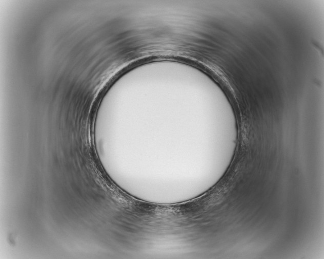 X0000101680887200807311517