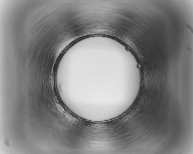 X0000101680888200807311517