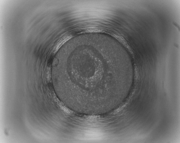 X0000101680889200807311517