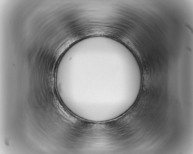 X0000101680890200807311517