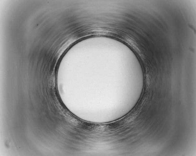 X0000101680891200807311516