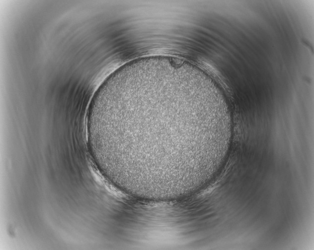 X0000101680892200807311516