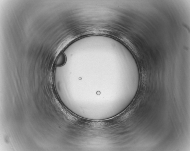 X0000101680893200807311516