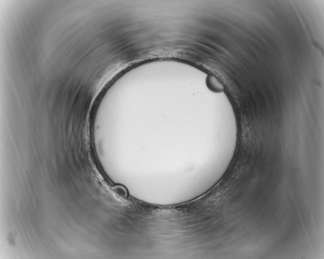 X0000101680894200807311516