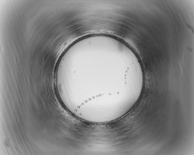 X0000101680895200807311516