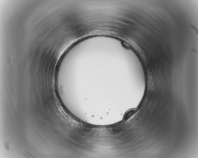 X0000101680896200807311516