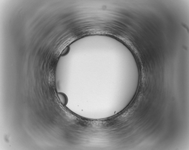 X0000101680897200807311516