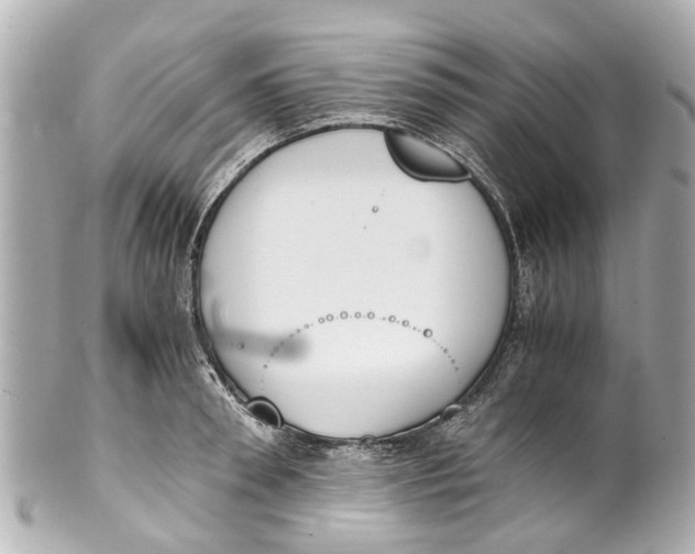 X0000101680898200807311516