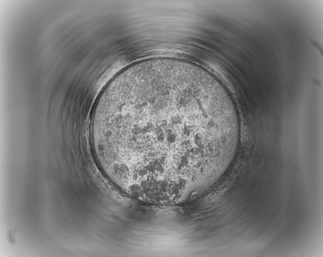 X0000101680899200807311516