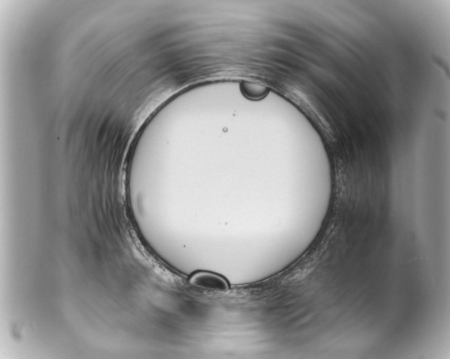 X0000101680900200807311516