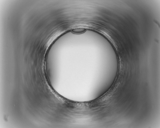 X0000101680901200807311516