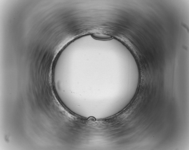 X0000101680902200807311516