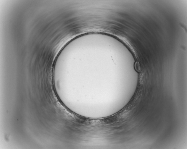 X0000101680903200807311516