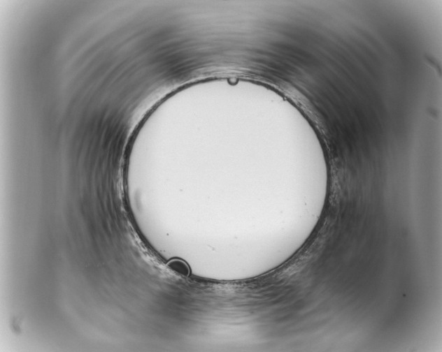 X0000101680904200807311516