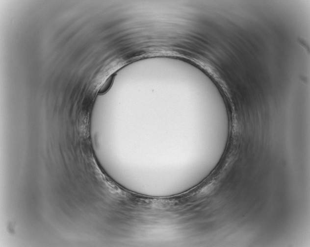 X0000101680905200807311516