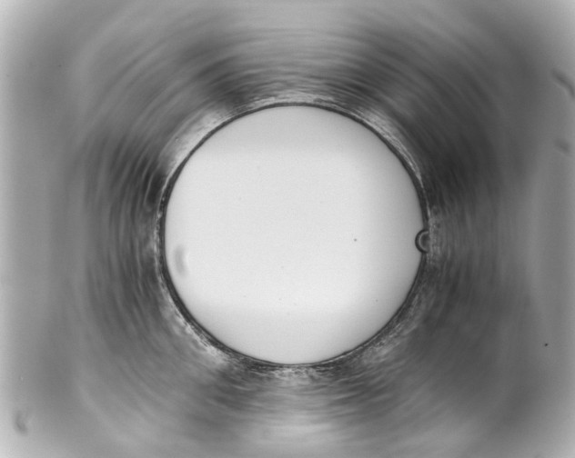 X0000101680906200807311516