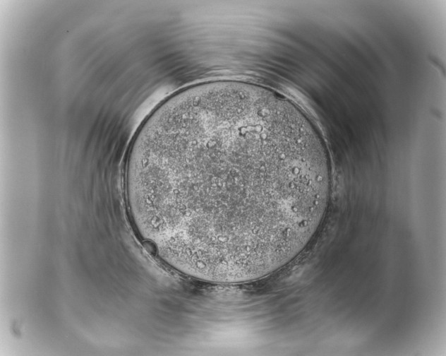 X0000101680907200807311516