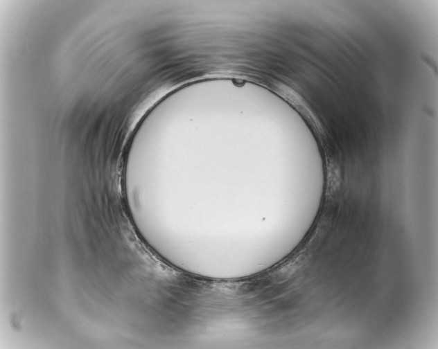 X0000101680908200807311516