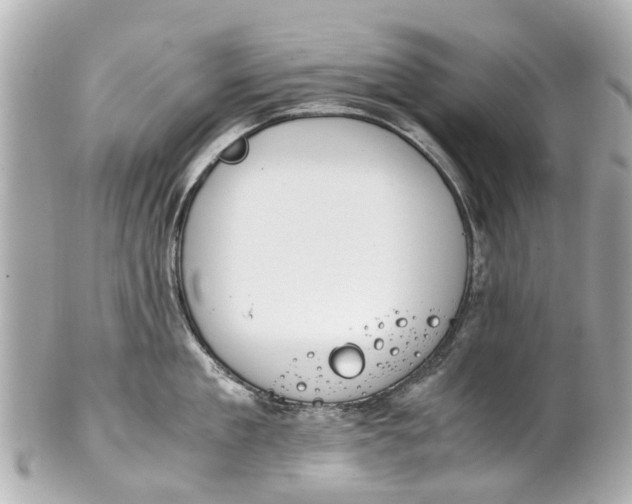 X0000101680909200807311516