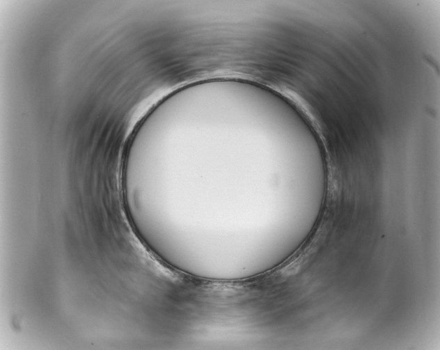 X0000101680910200807311516