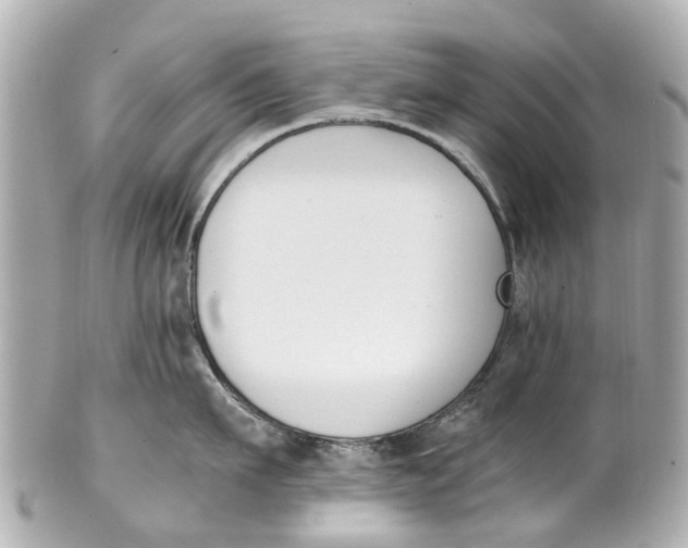 X0000101680911200807311516