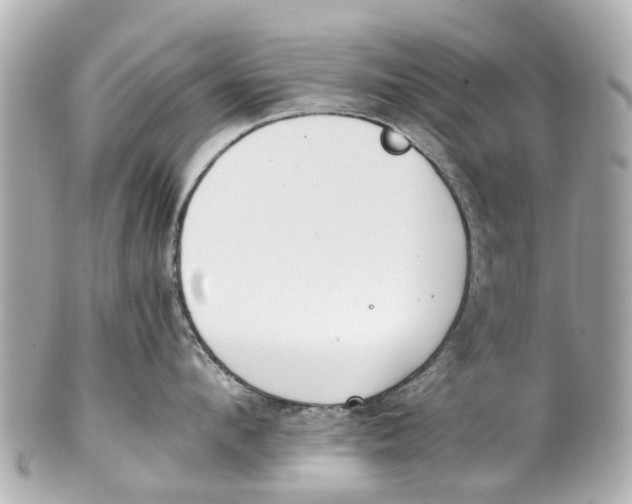 X0000101680912200807311516