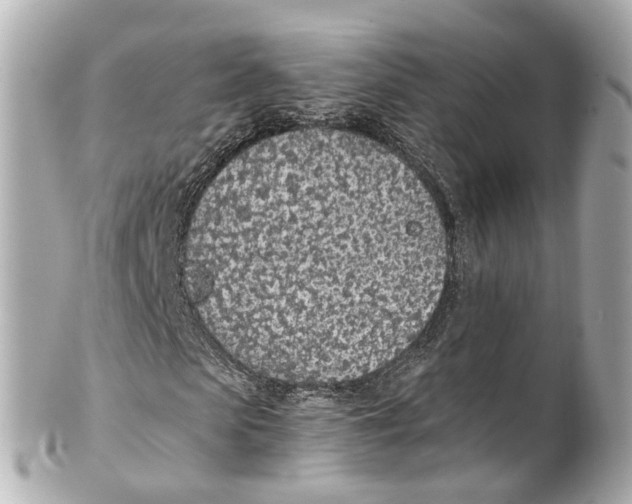 X0000101680913200807311515