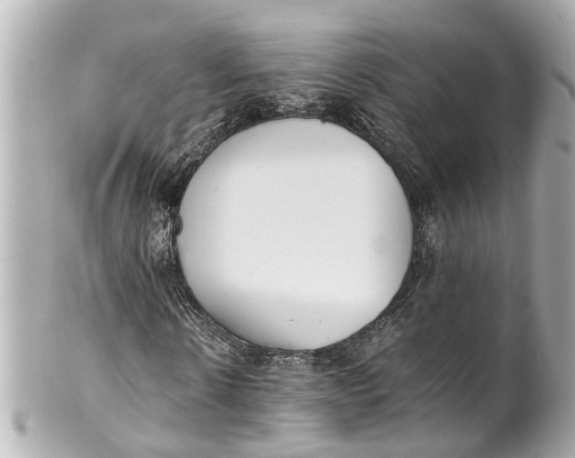 X0000101680914200807311515