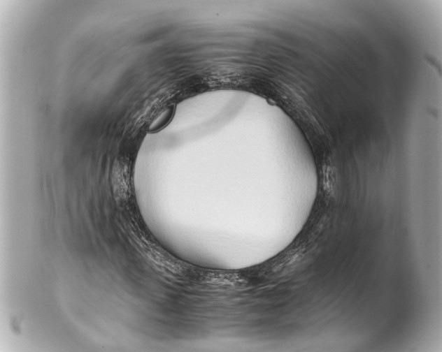 X0000101680915200807311515