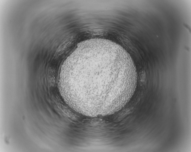 X0000101680916200807311515